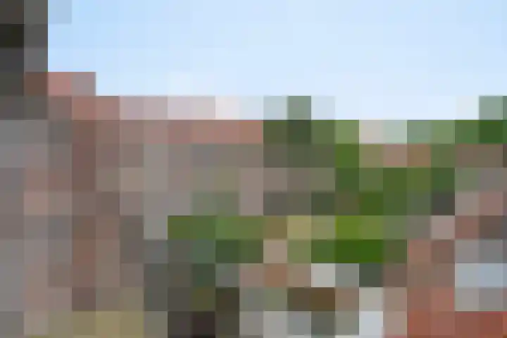 Aartshertogenlaan 262 C 's-Hertogenbosch thumbnail 26