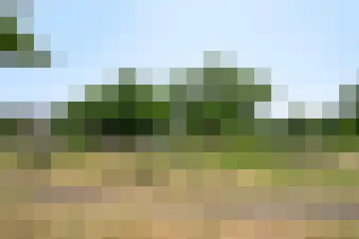 Aartshertogenlaan 262 C 's-Hertogenbosch thumbnail 28