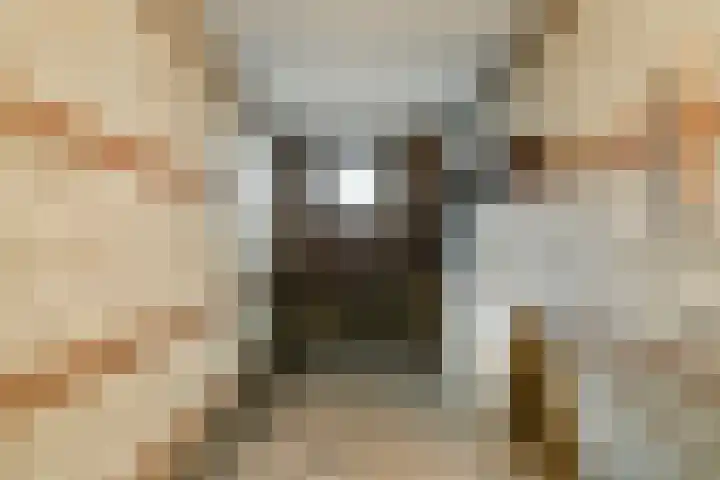 Aartshertogenlaan 262 C 's-Hertogenbosch thumbnail 29