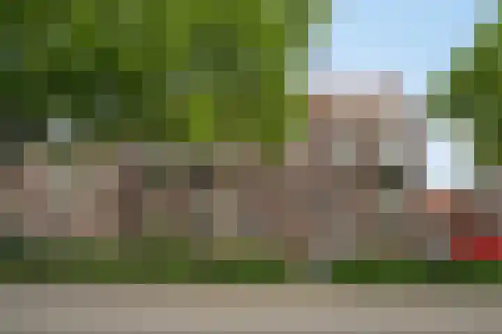Aartshertogenlaan 262 C 's-Hertogenbosch thumbnail 33