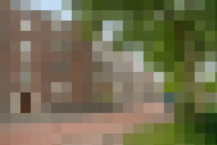 Aartshertogenlaan 262 C 's-Hertogenbosch thumbnail 5