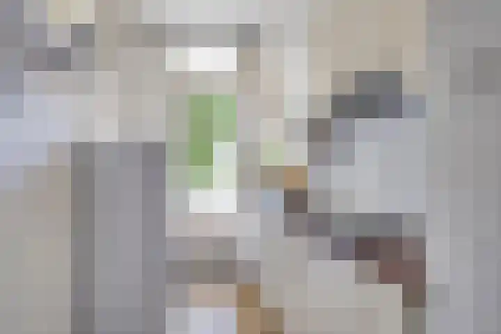 Aartshertogenlaan 267 's-Hertogenbosch thumbnail 10