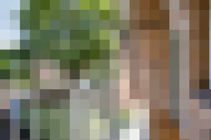 Aartshertogenlaan 267 's-Hertogenbosch thumbnail 11