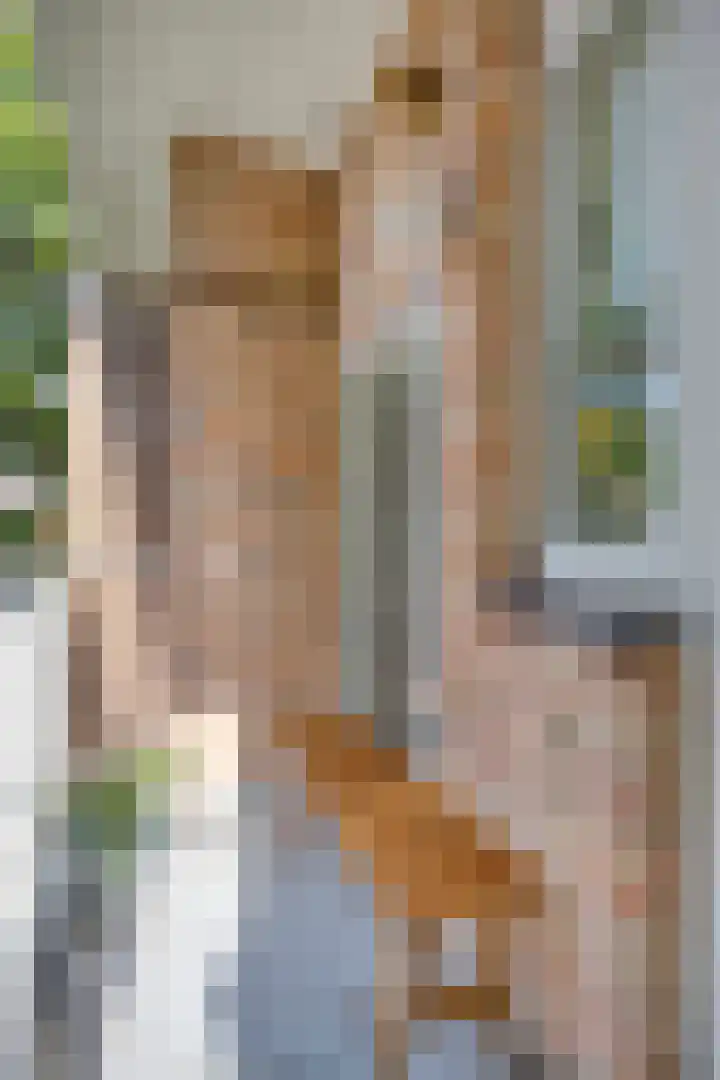Aartshertogenlaan 267 's-Hertogenbosch thumbnail 12