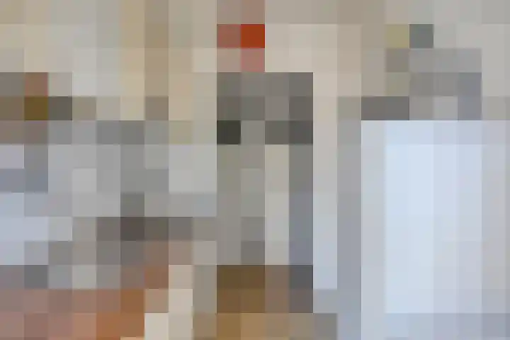 Aartshertogenlaan 267 's-Hertogenbosch thumbnail 13