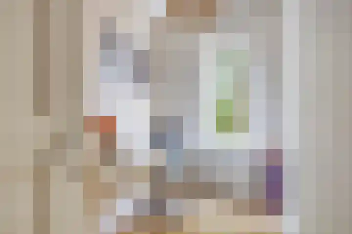 Aartshertogenlaan 267 's-Hertogenbosch thumbnail 15