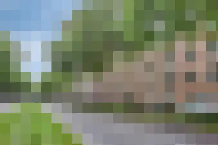 Aartshertogenlaan 267 's-Hertogenbosch thumbnail 19