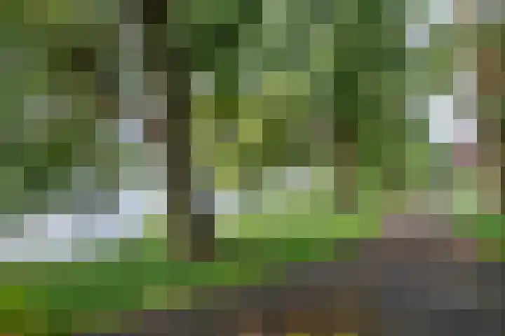 Aartshertogenlaan 267 's-Hertogenbosch thumbnail 20