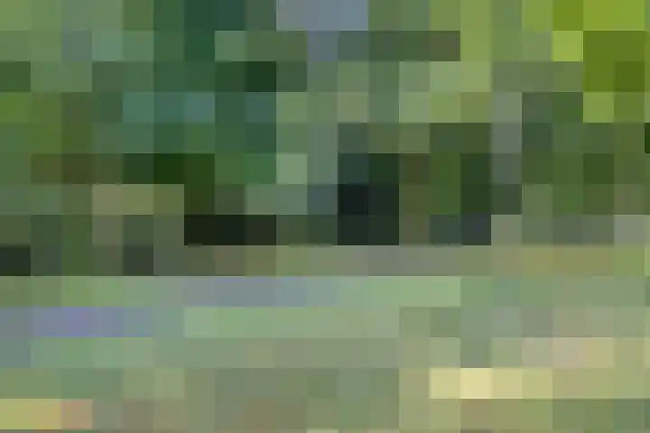 Aartshertogenlaan 267 's-Hertogenbosch thumbnail 21