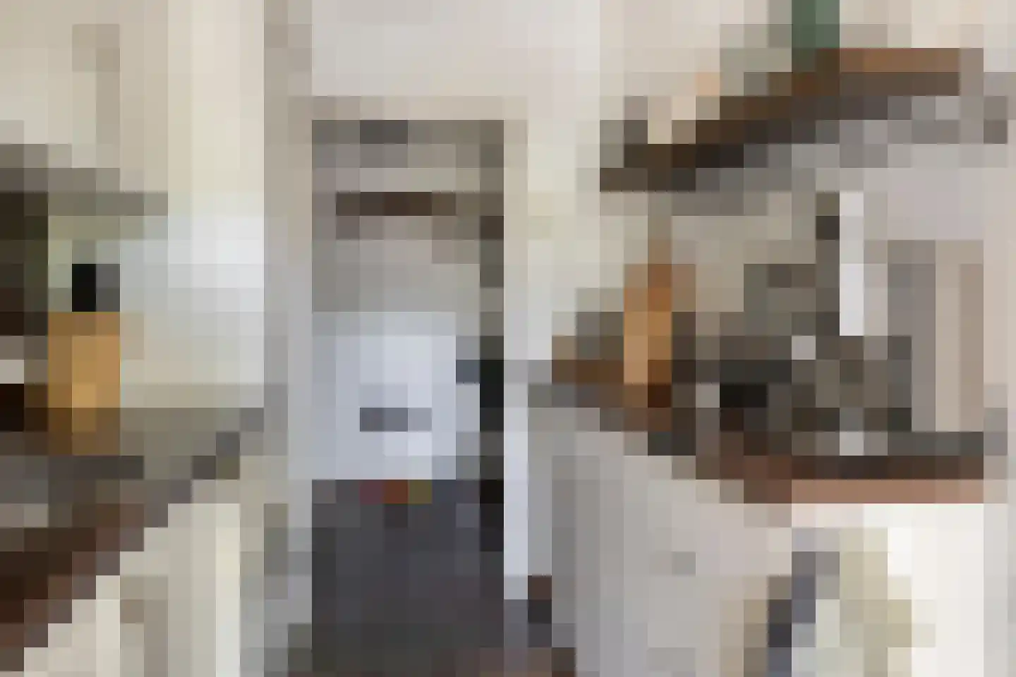 Aartshertogenlaan 297 's-Hertogenbosch thumbnail 15