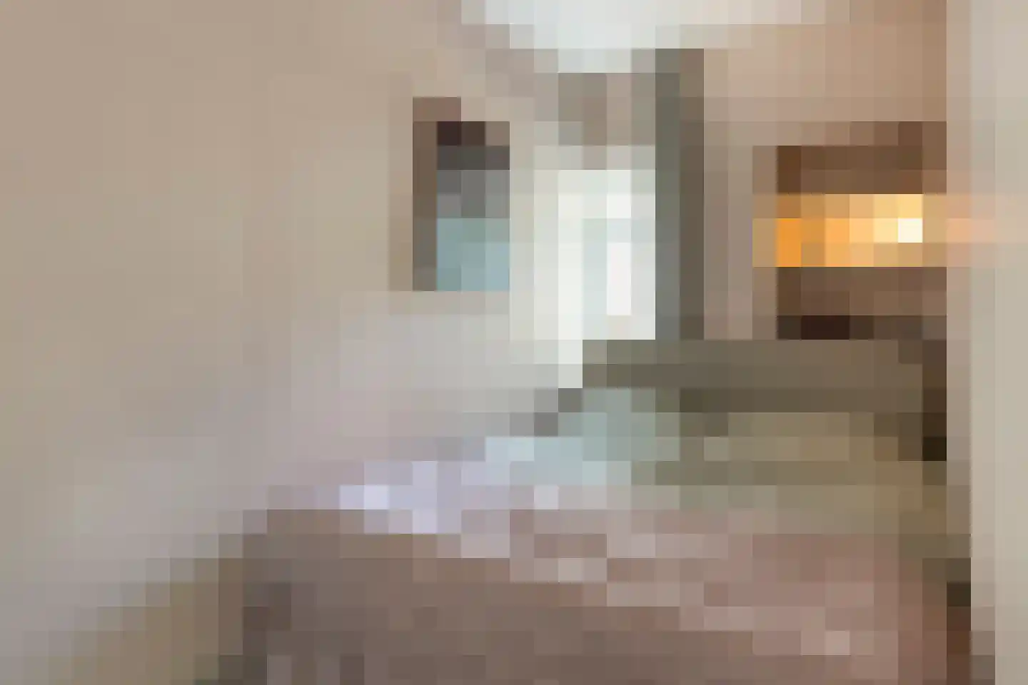 Aartshertogenlaan 297 's-Hertogenbosch thumbnail 17