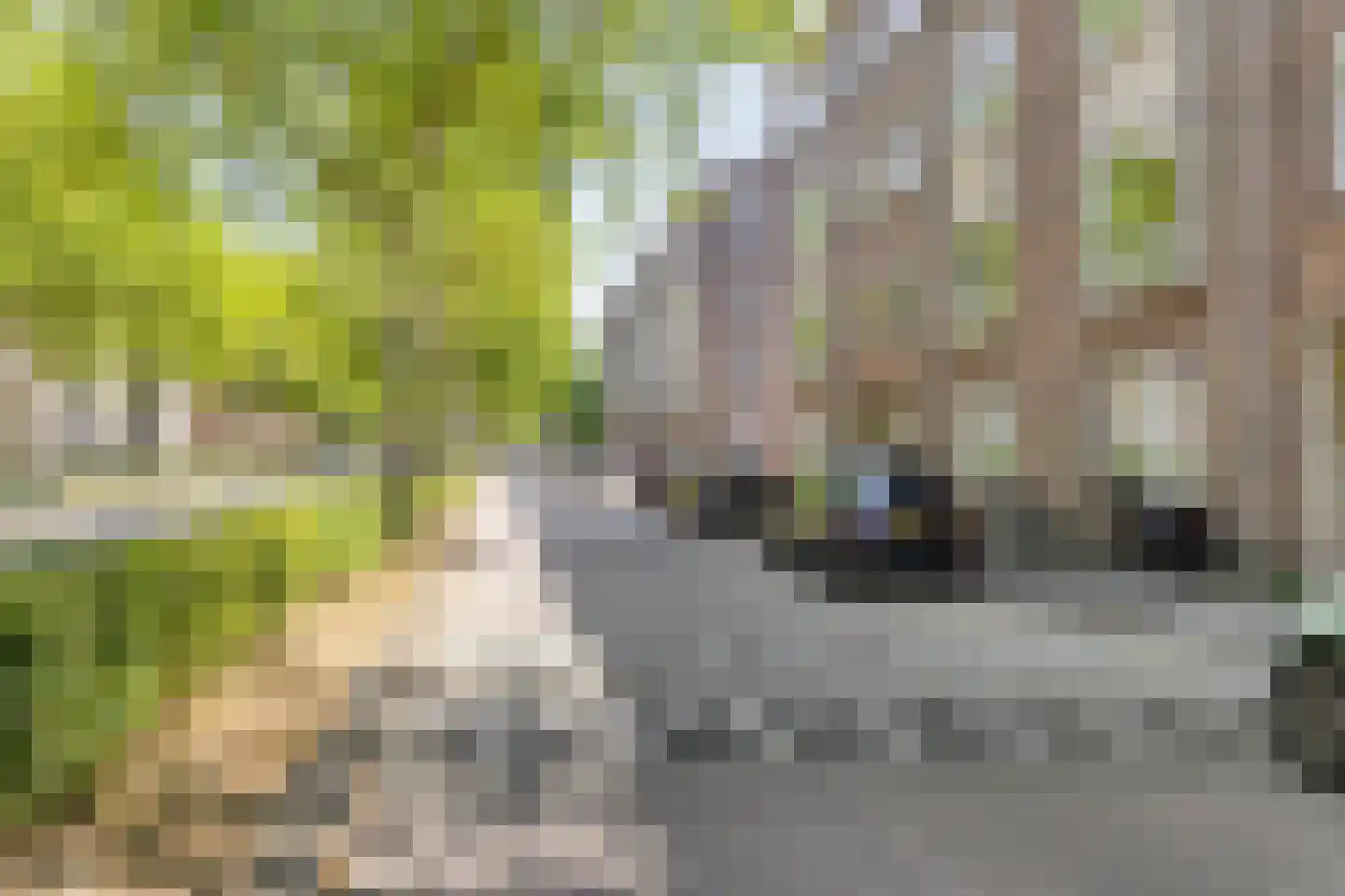 Aartshertogenlaan 297 's-Hertogenbosch thumbnail 25