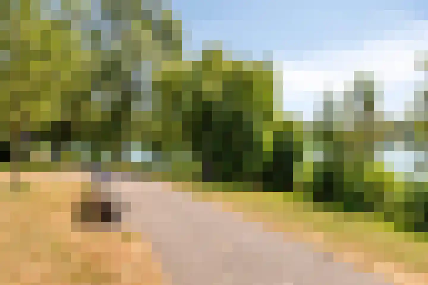 Aartshertogenlaan 297 's-Hertogenbosch thumbnail 27
