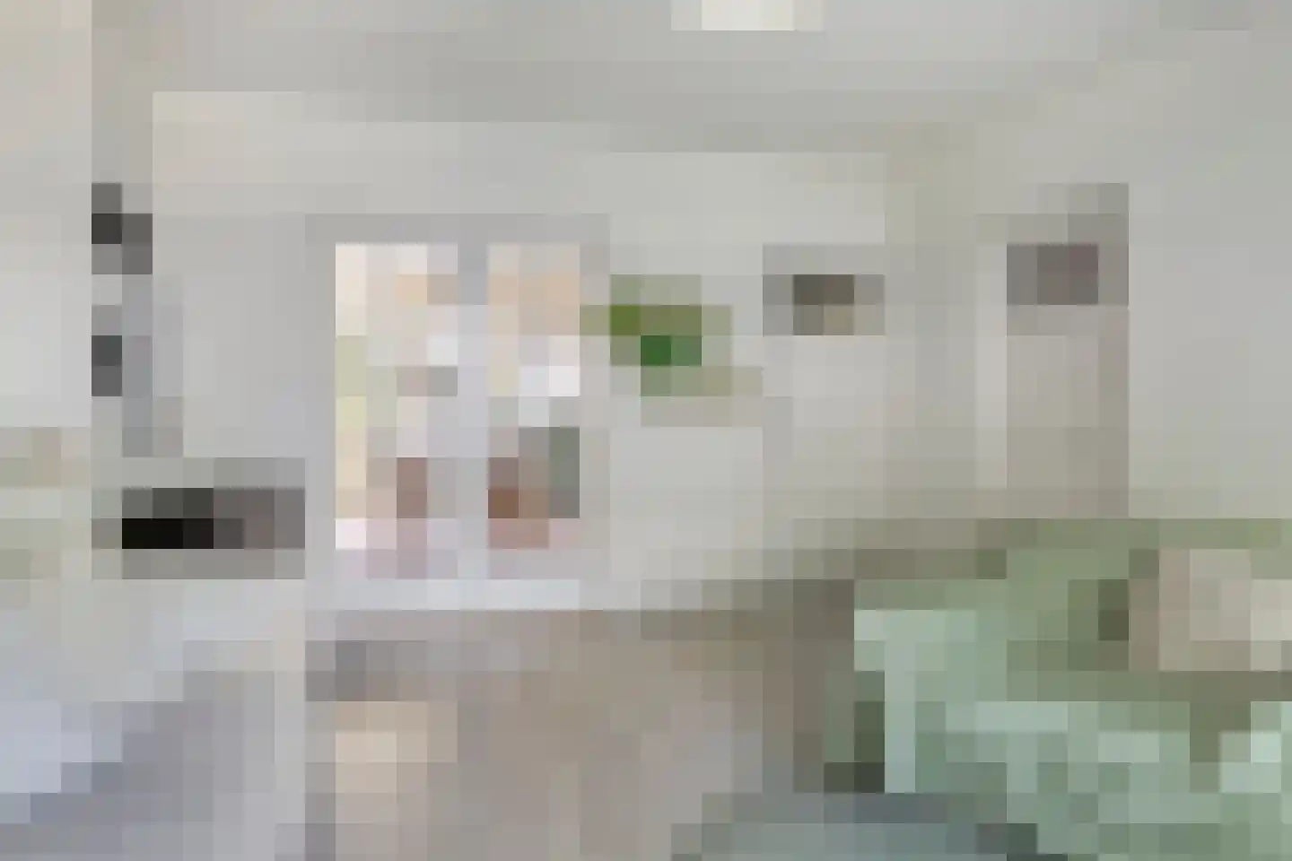 Aartshertogenlaan 297 's-Hertogenbosch thumbnail 8