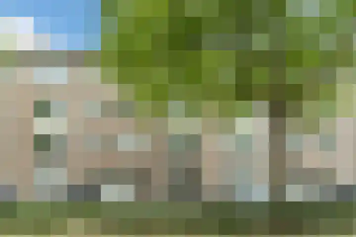 Aartshertogenlaan 317 's-Hertogenbosch