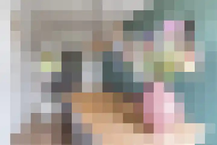 Aartshertogenlaan 317 's-Hertogenbosch thumbnail 13