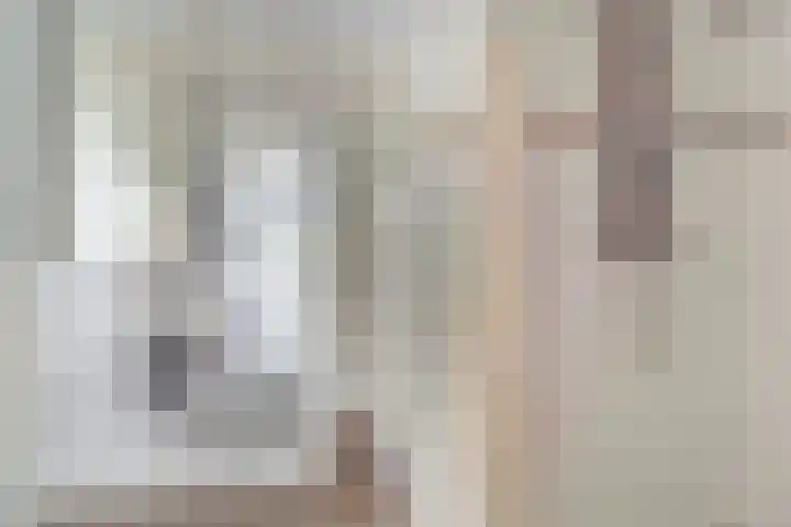 Aartshertogenlaan 317 's-Hertogenbosch thumbnail 17