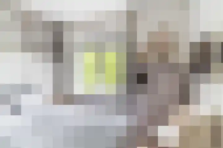 Aartshertogenlaan 317 's-Hertogenbosch thumbnail 22