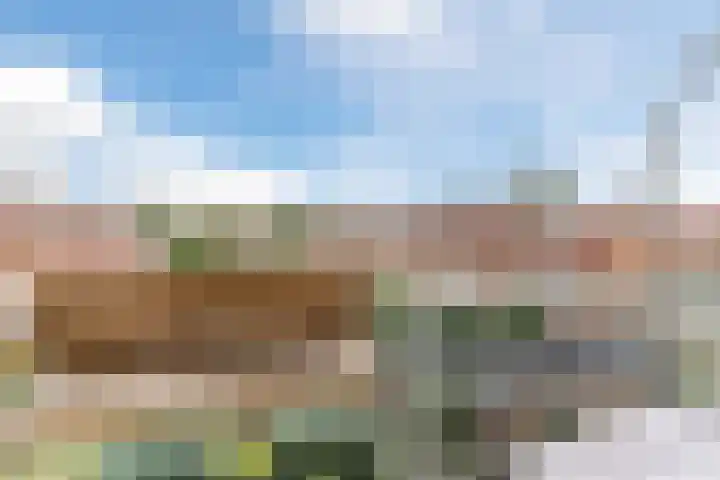 Aartshertogenlaan 317 's-Hertogenbosch thumbnail 25
