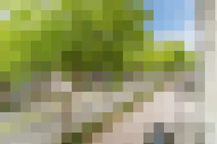 Aartshertogenlaan 317 's-Hertogenbosch thumbnail 27