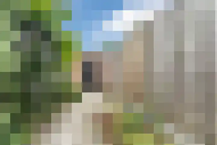 Aartshertogenlaan 317 's-Hertogenbosch thumbnail 28
