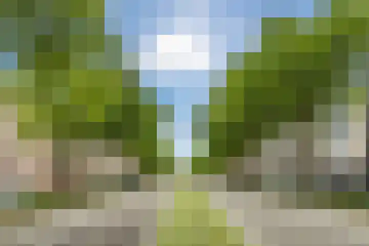 Aartshertogenlaan 317 's-Hertogenbosch thumbnail 29
