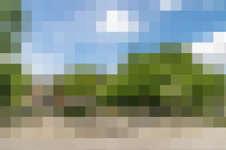 Aartshertogenlaan 317 's-Hertogenbosch thumbnail 30