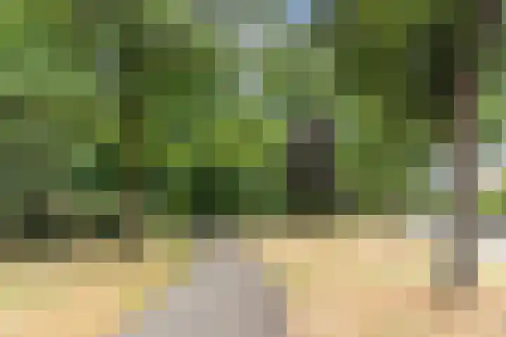 Aartshertogenlaan 317 's-Hertogenbosch thumbnail 31