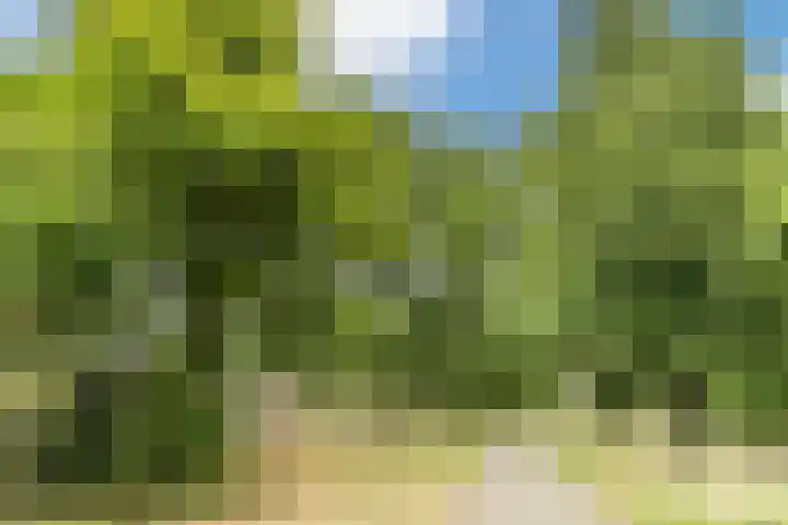 Aartshertogenlaan 317 's-Hertogenbosch thumbnail 32