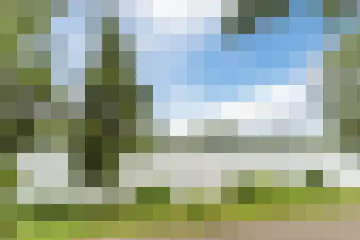 Aartshertogenlaan 317 's-Hertogenbosch thumbnail 33