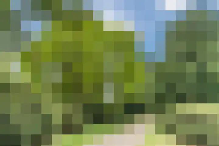 Aartshertogenlaan 317 's-Hertogenbosch thumbnail 34