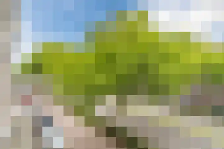 Aartshertogenlaan 317 's-Hertogenbosch thumbnail 35