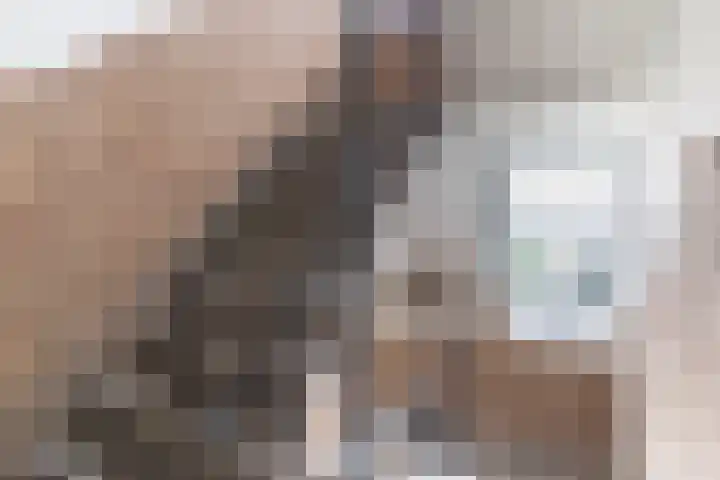 Aartshertogenlaan 317 's-Hertogenbosch thumbnail 38