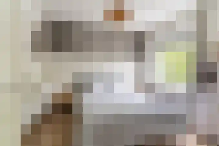 Aartshertogenlaan 317 's-Hertogenbosch thumbnail 4