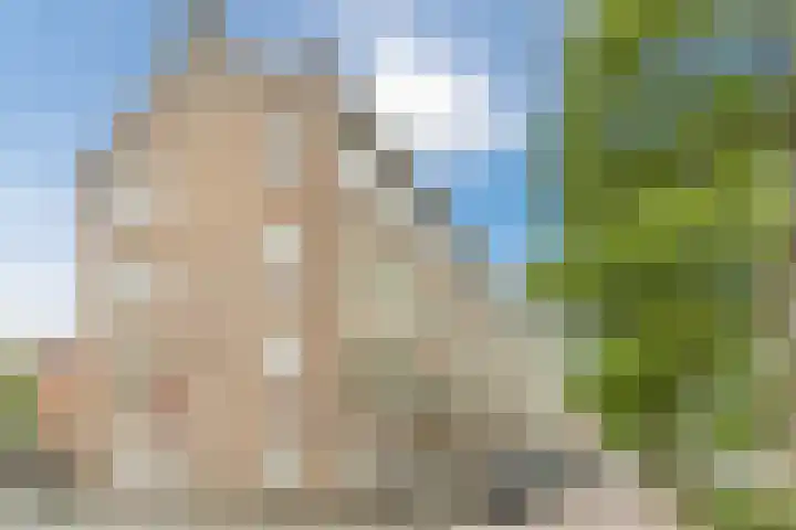 Aartshertogenlaan 317 's-Hertogenbosch thumbnail 41
