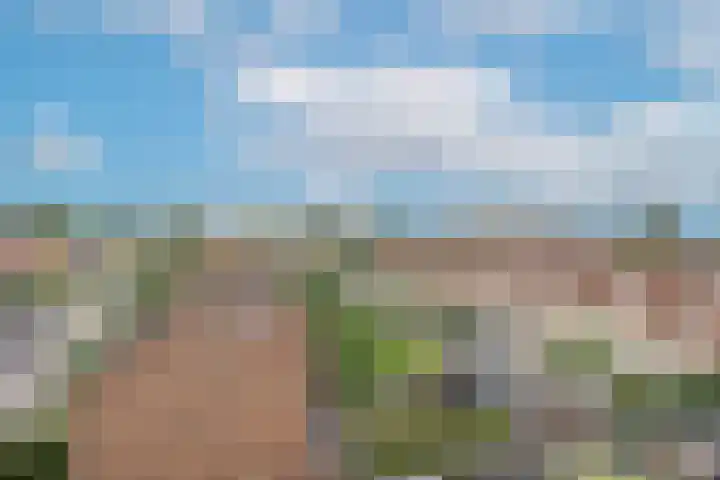 Aartshertogenlaan 327 's-Hertogenbosch thumbnail 28