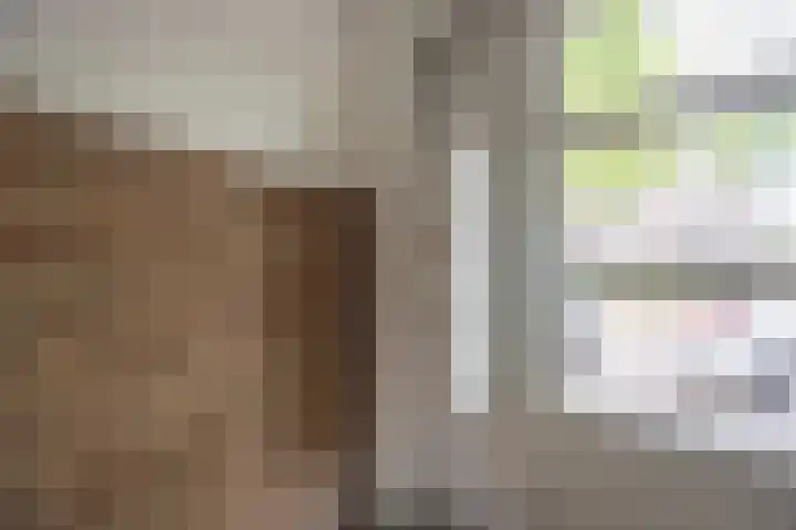 Aartshertogenlaan 327 's-Hertogenbosch thumbnail 38