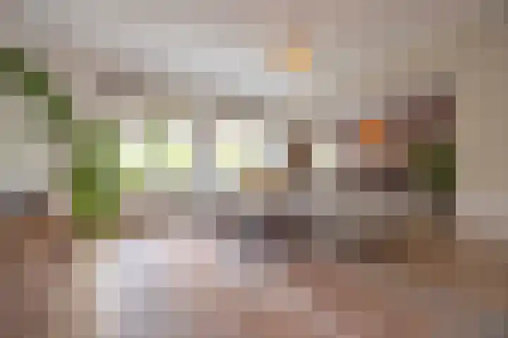 Aartshertogenlaan 327 's-Hertogenbosch thumbnail 4