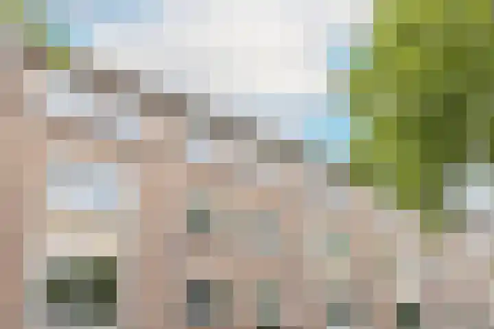 Aartshertogenlaan 327 's-Hertogenbosch thumbnail 42