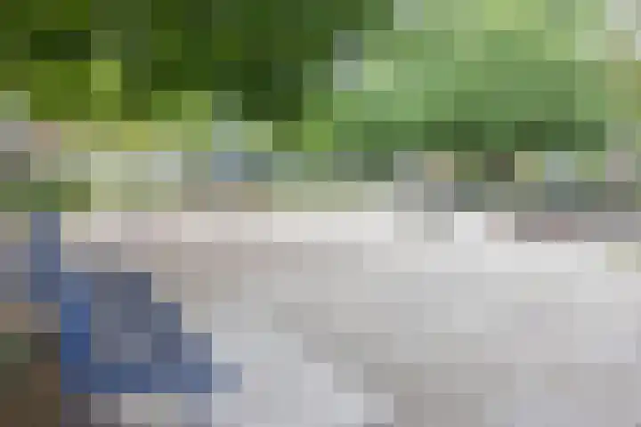Aartshertogenlaan 327 's-Hertogenbosch thumbnail 45