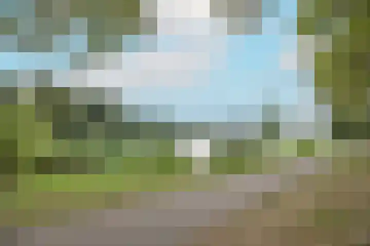 Aartshertogenlaan 327 's-Hertogenbosch thumbnail 46