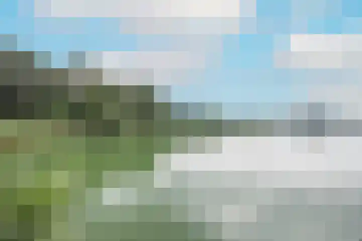 Aartshertogenlaan 327 's-Hertogenbosch thumbnail 48