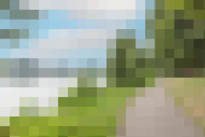 Aartshertogenlaan 327 's-Hertogenbosch thumbnail 49