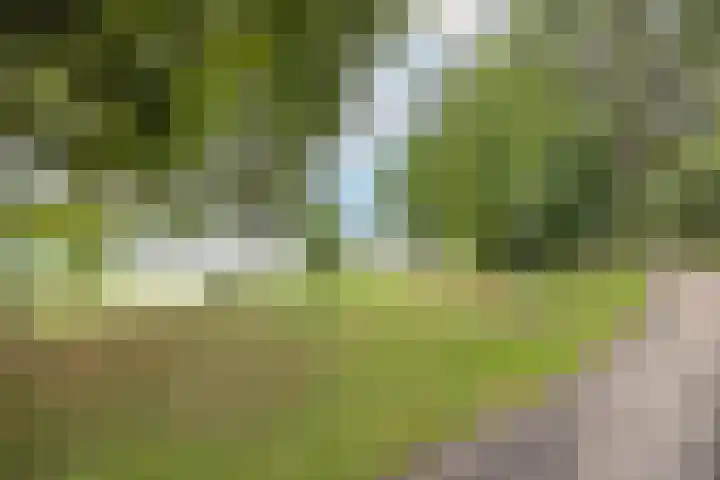 Aartshertogenlaan 327 's-Hertogenbosch thumbnail 50
