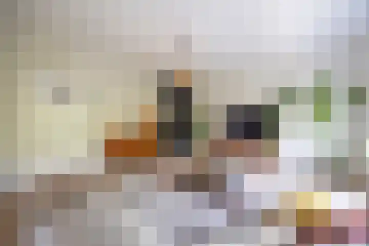 Aartshertogenlaan 327 's-Hertogenbosch thumbnail 8