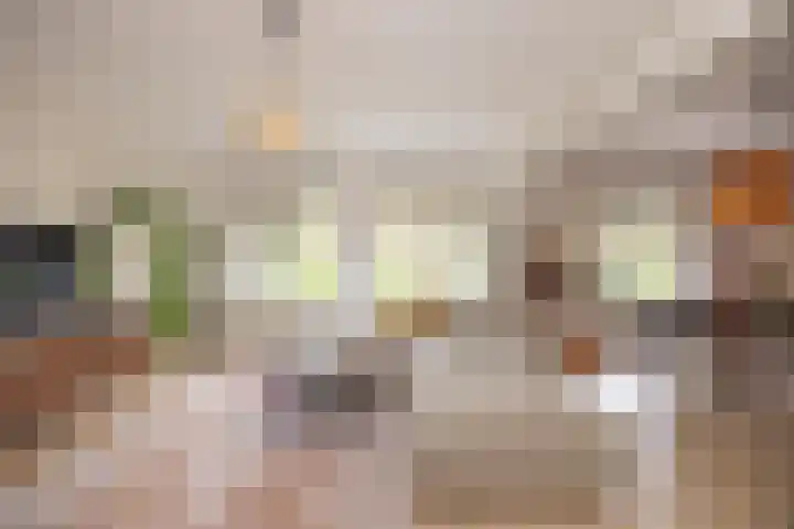 Aartshertogenlaan 327 's-Hertogenbosch thumbnail 9