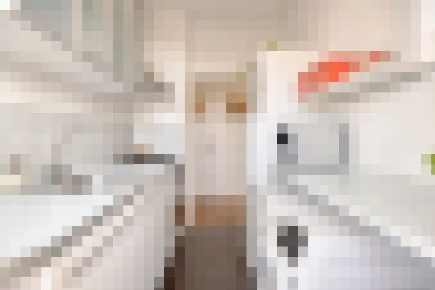 Aartshertogenlaan 333 's-Hertogenbosch thumbnail 17