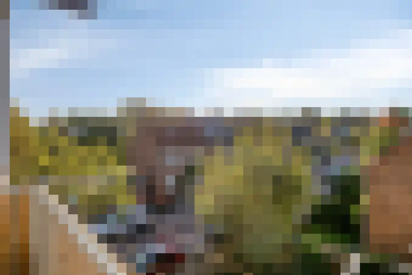 Aartshertogenlaan 333 's-Hertogenbosch thumbnail 21