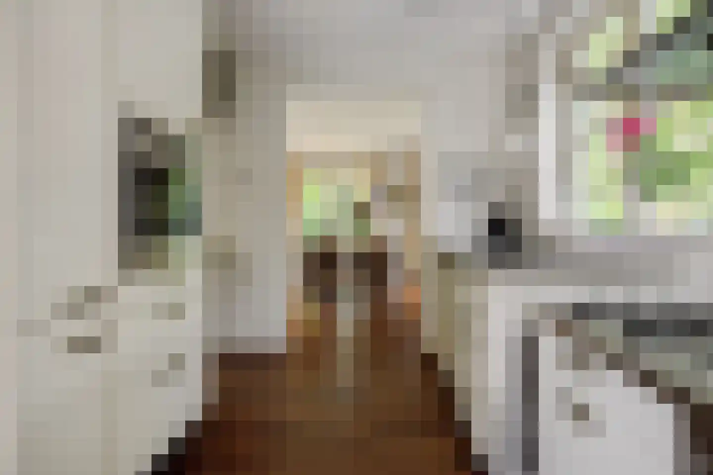 Aartshertogenlaan 419 's-Hertogenbosch thumbnail 11