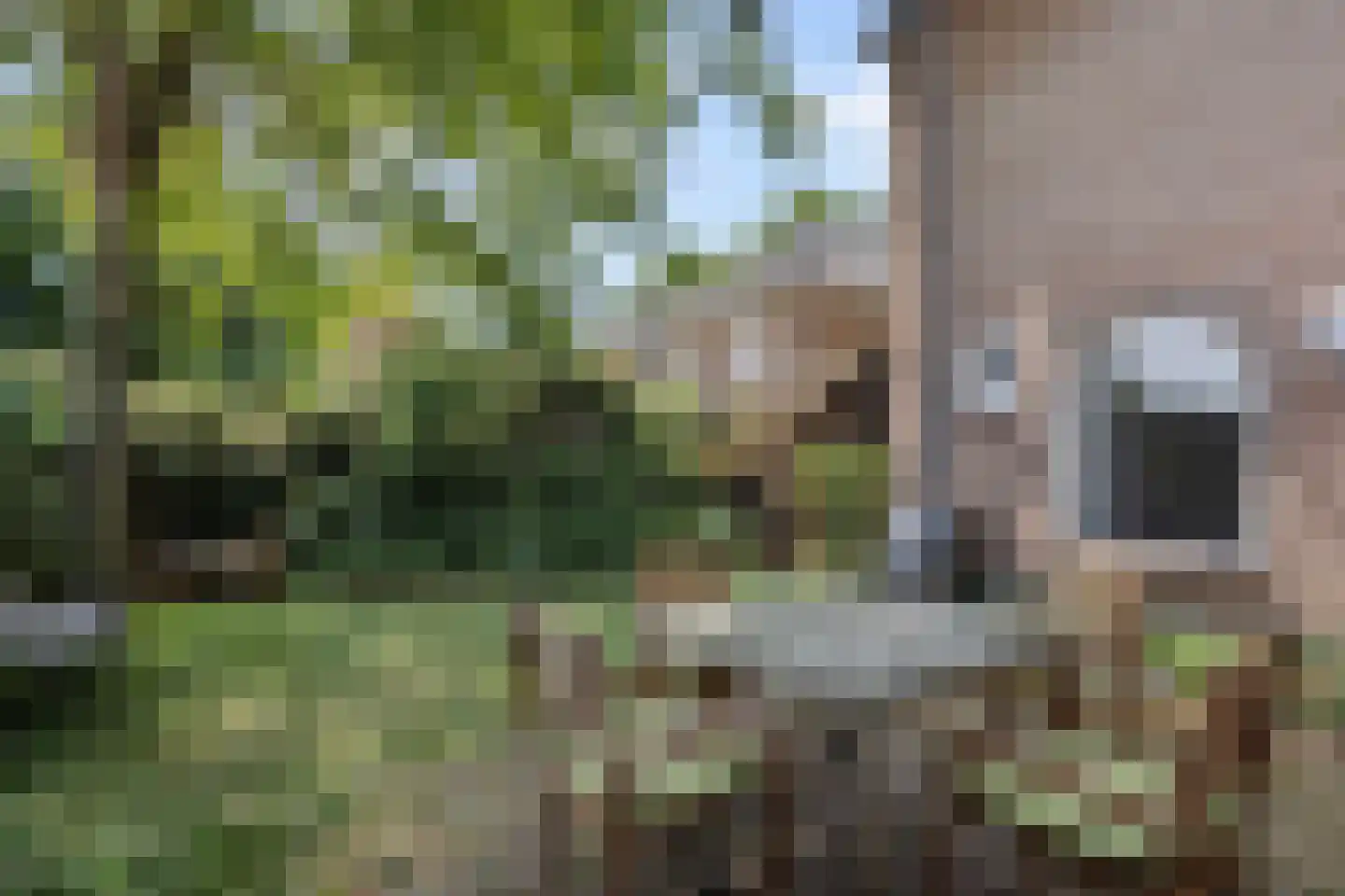 Aartshertogenlaan 419 's-Hertogenbosch thumbnail 15